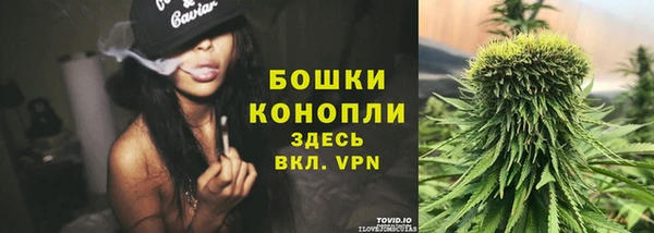 дмт Дмитров