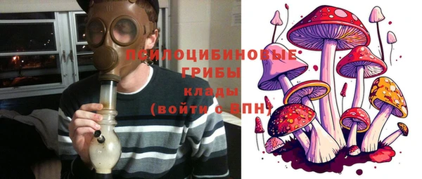 дмт Дмитров