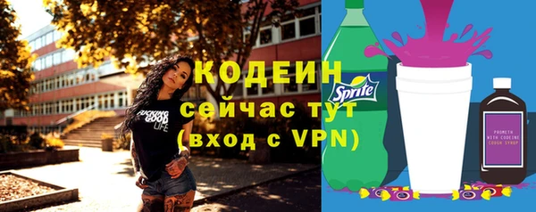 дмт Дмитров