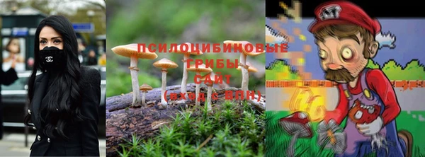 дмт Дмитров
