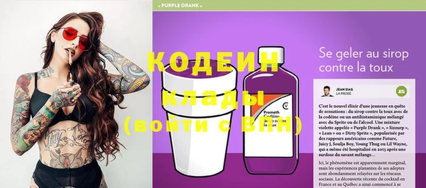 дмт Дмитров