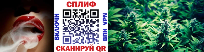 Канабис Bruce Banner  Купить закладки  Каргат 